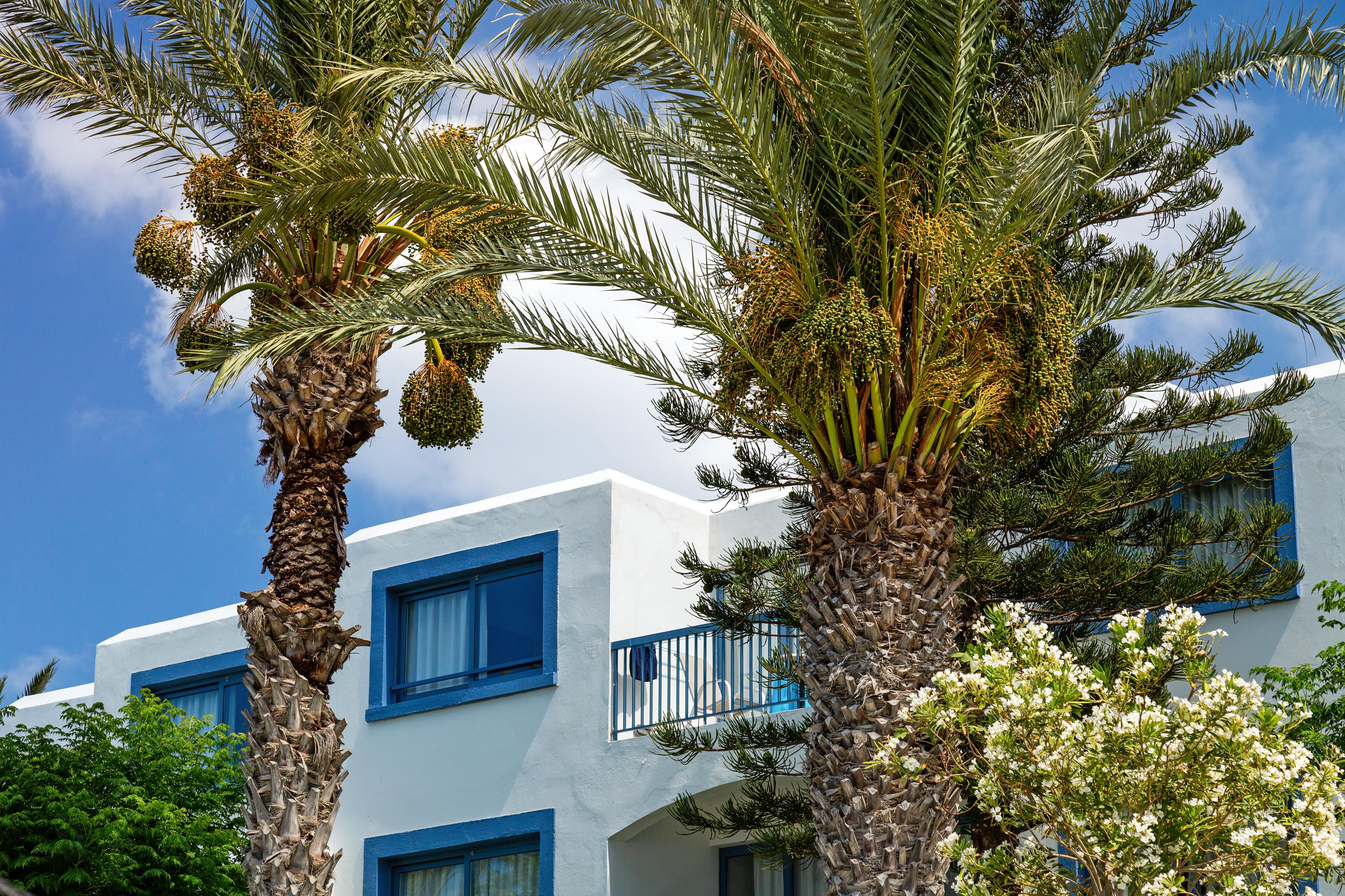 Nausicaa Beach Protaras Buitenkant foto
